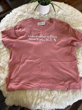 Abercrombie & Fitch Dusty Rose Embroidered Logo Tee